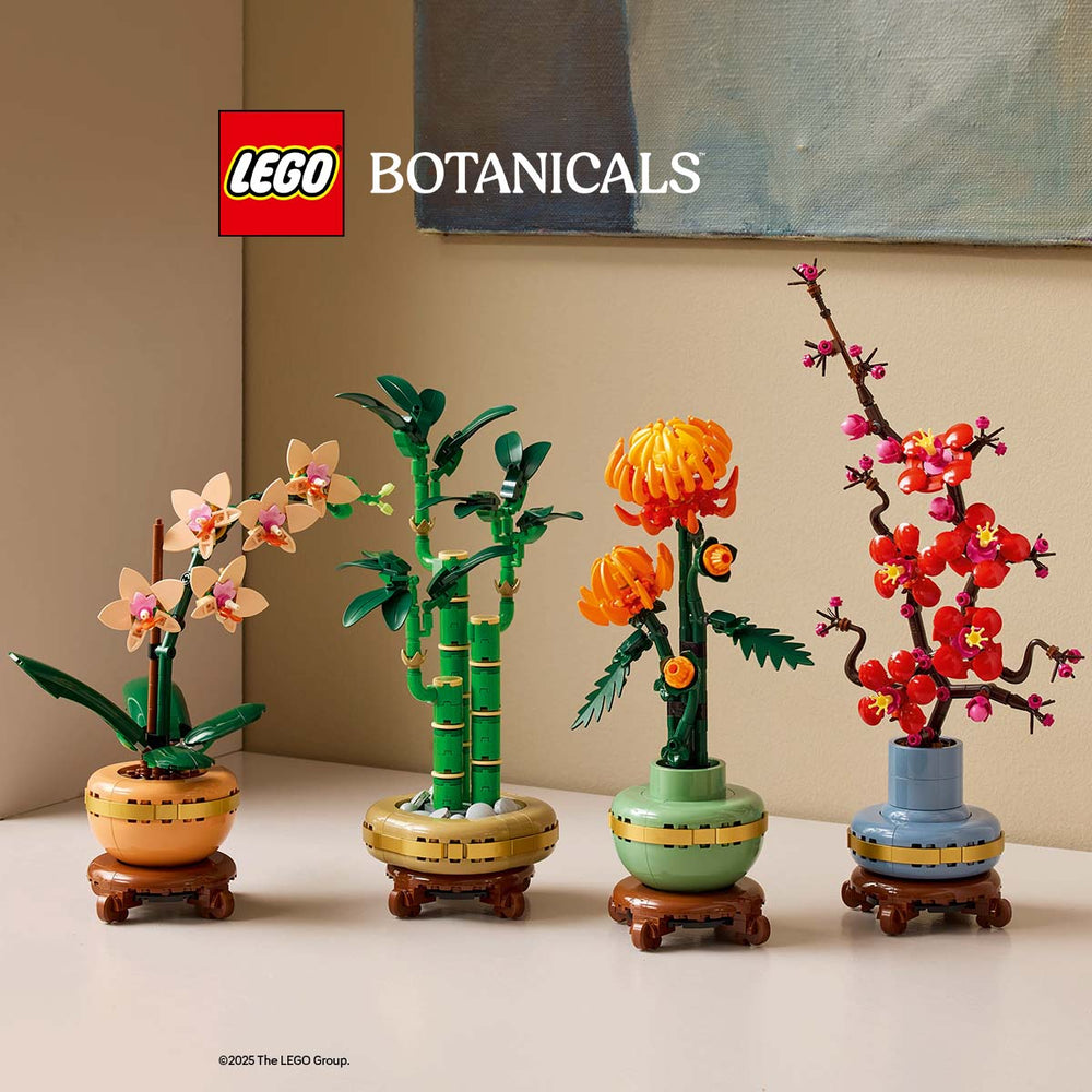 LEGO in Vendita Online al Miglior Prezzo | Mornati Paglia