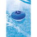 BESTWAY Dispenser Cloro Piccolo Cm 12,7 - 58210