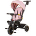 CHIPOLINO Triciclo Con Capote Max Sport Flamingo - TRKMS02406FL