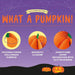 LEGAMI Zucca Di Halloween Pieghevole In Carta What A Pumpkin! - LEGPPU0001
