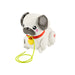 FISHER PRICE Carlino Cammina Con Me - HTW94