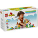 LEGO Giardino E Fiori Creativi - 10444