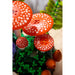 LEGO Funghi Del Bosco - 11505, Set Di Piante Artificiali Per Adulti, Decorazione Per Casa, Idea Regalo Fai Da Te