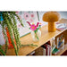 LEGO Fiori Di Cosmos - 11514, Bouquet Fiori Finti Con 3 Cosmos Artificiali E 2 Steli Di Penniseto, Regalo Bambini 9+