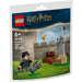 LEGO Lezione Di Quidditch - 30706