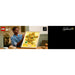 LEGO Vincent Van Gogh – Girasoli - 31215