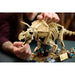 LEGO Fossili Di Dinosauro: Triceratopo - 77985, Kit Modellismo Per Adulti Con Minifigure, Idea Regalo Per Fan