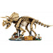 LEGO Fossili Di Dinosauro: Triceratopo - 77985, Kit Modellismo Per Adulti Con Minifigure, Idea Regalo Per Fan