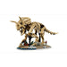 LEGO Fossili Di Dinosauro: Triceratopo - 77985, Kit Modellismo Per Adulti Con Minifigure, Idea Regalo Per Fan