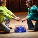 HASBRO Beyblade X Drop Battle Set - G0842EU4
