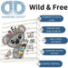 MAGGIO TRE Diamond Dotz Box Koala Wildefree - DDZDBX.026