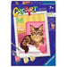 RAVENSBURGER Creart Gattino Maine Coon