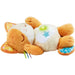 VTECH Birba Dormi E Sogna Con Me - 80-575007