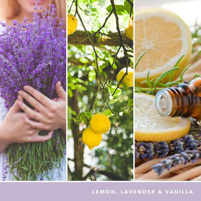 YANKEE CANDLE Giara Grande Signature Lemon Lavender - 1629970E
