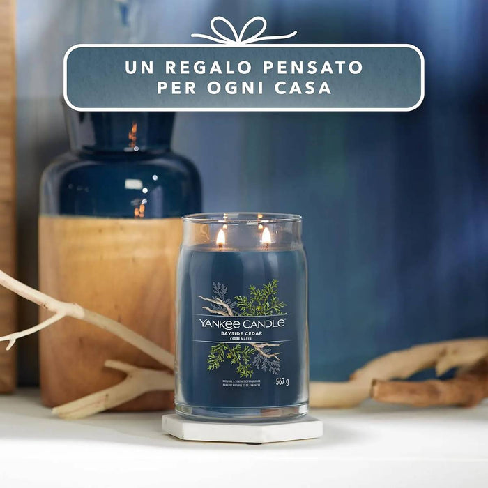 YANKEE CANDLE Candela Giara Grande Bayside Cedar - 1629980E
