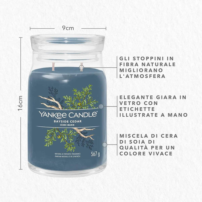 YANKEE CANDLE Candela Giara Grande Bayside Cedar - 1629980E