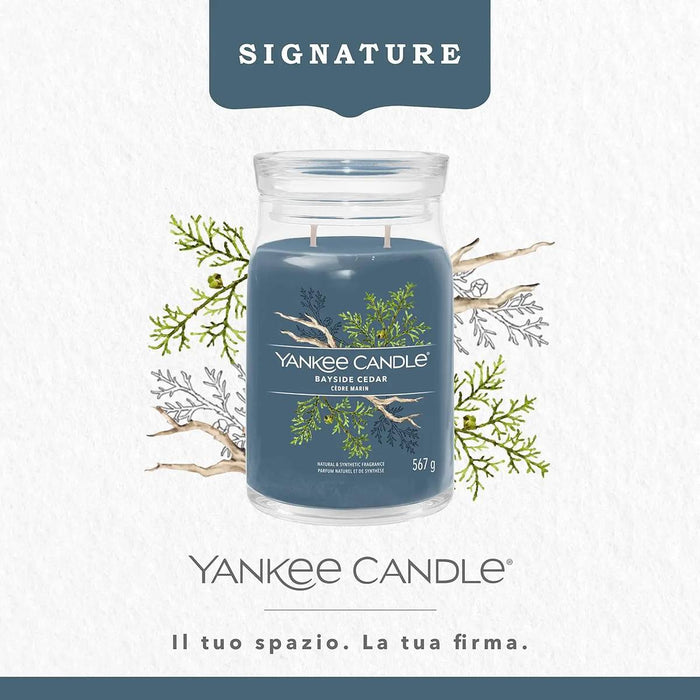 YANKEE CANDLE Candela Giara Grande Bayside Cedar - 1629980E