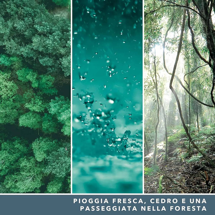 YANKEE CANDLE Candela Giara Grande Bayside Cedar - 1629980E