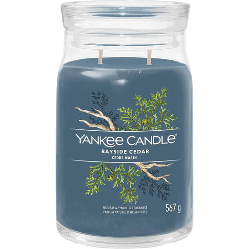 YANKEE CANDLE Candela Giara Grande Bayside Cedar - 1629980E