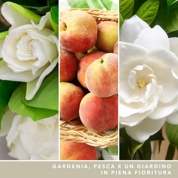 YANKEE CANDLE Giara Grande Signature White Gardenia - 1630696E