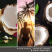 YANKEE CANDLE Giara Grande Signature Black Coconut - 1701371E