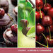 YANKEE CANDLE Giara Media Signature Black Cherry - 1701391E