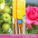 YANKEE CANDLE Giara Grande Art In The Park - 1728890E