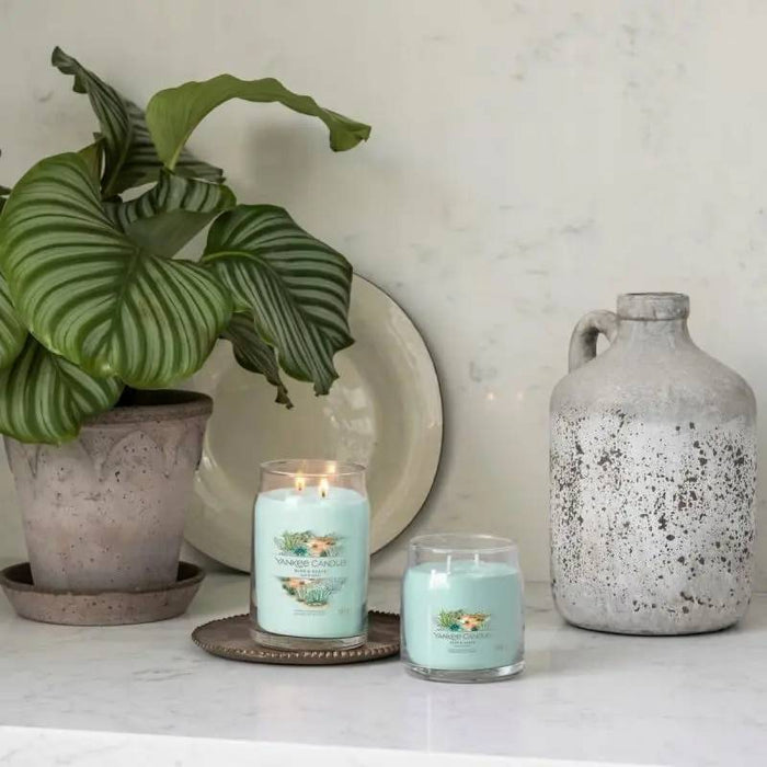 YANKEE CANDLE Giara Media Aloe Agave - 1749328E