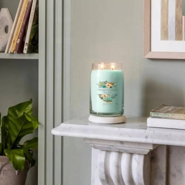 YANKEE CANDLE Giara Media Aloe Agave - 1749328E