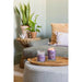 YANKEE CANDLE Giara Media Stargazing - 1749348E