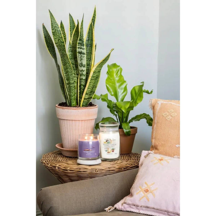 YANKEE CANDLE Giara Media Stargazing - 1749348E