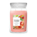 YANKEE CANDLE Giara Grande Signature White Strawberry Bellini