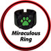 BANDAI Miraculous Set Trasformazione Chat Noir - T05895