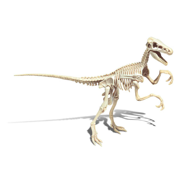 CLEMENTONI Archeogiocando - Velociraptor Luminoso Al Buio - 19144