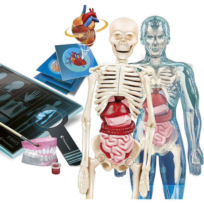 CLEMENTONI Anatomia Super - 19299
