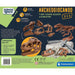 CLEMENTONI Dinosauri Gigant Skull T-Rex - 19324