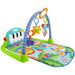 FISHER PRICE Palestrina Baby Piano 4 In 1 - BMH49