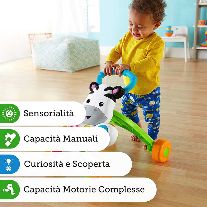 MATTEL - Fisher-Price Zebra Primi Passi, Giocattolo Istruttivo Per Bambini 6+ Mesi - DLD91