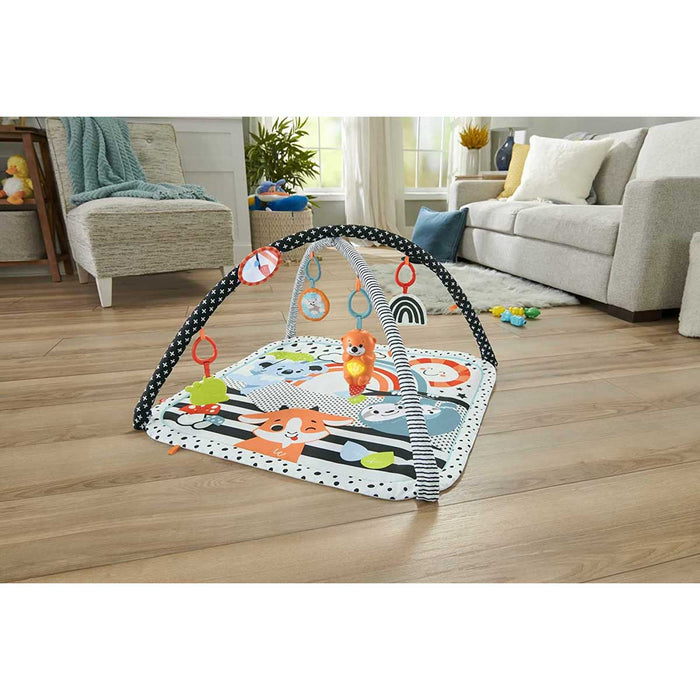 FISHER PRICE Palestrina Luci E Suoni Amici Animali 3 In 1 - HBP41
