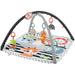 FISHER PRICE Palestrina Luci E Suoni Amici Animali 3 In 1 - HBP41