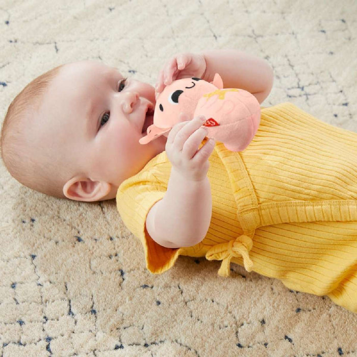 FISHER PRICE Kit Regalo Prime Scoperte Sensoriale - HRB17