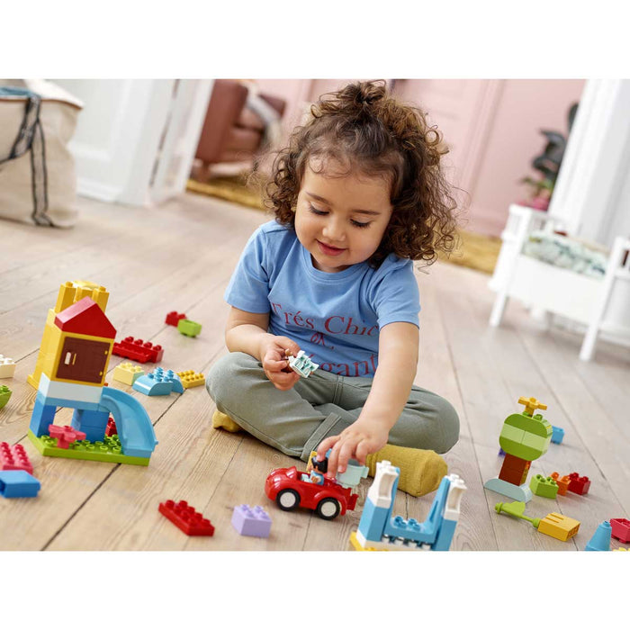 LEGO Duplo Contenitore Di Mattoncini Grande - 10914