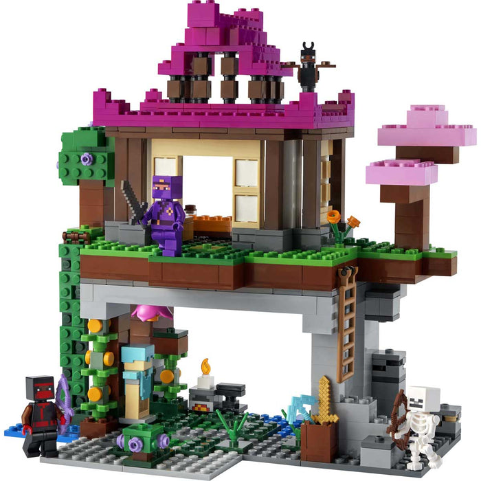 LEGO I Campi D’Allenamento - 21183