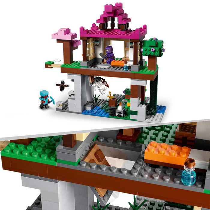 LEGO I Campi D’Allenamento - 21183