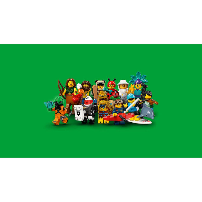 LEGO Minifigures Serie 21 - 71029