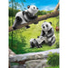 PLAYMOBIL Famiglia Di Panda - 70353