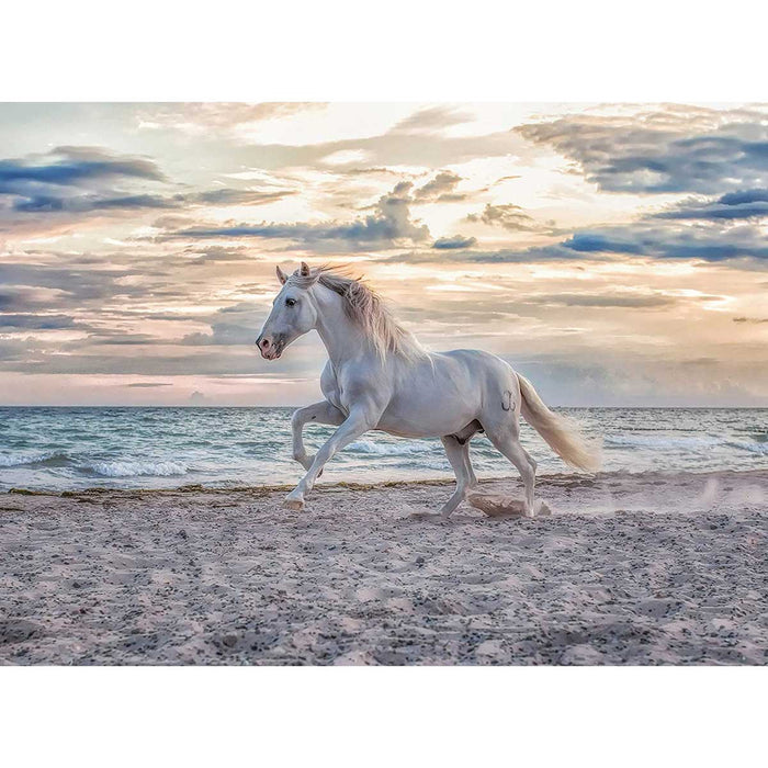 RAVENSBURGER Cavallo In Spiaggia Puzzle 500 Pezzi - 16586