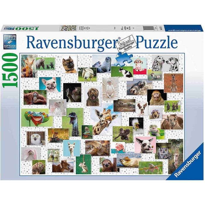 RAVENSBURGER Collage Di Animali Divertenti Puzzle 1500 Pezzi - 16711