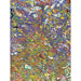 RAVENSBURGER Puzzle 1500 Pezzi Arcobaleno Di Pesci - 17264