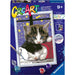 RAVENSBURGER Creart Classic Teneri Gattini - 23707